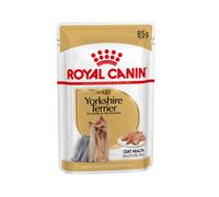 Royal Canin Yorkshire Terrier Adult Comida Húmeda PACK AHORRO 12x85 g