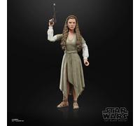 86024 SW BL PRINCESS LEIA (VILLAGE EWOK) AF