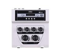 8KLANMMQ MF-8 Mini Audio Mixer Mixing Stereo Echo Mixers Dual Microphone Inputs Support BT Recording MP3 for PC Amplifier