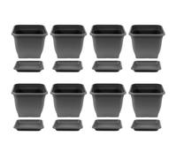 8x Maceta 19 X 19CM Plástico Incl. Posavasos Cuadrado Antracita Maceta