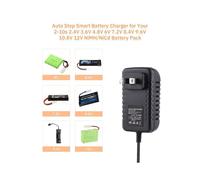 9-In-1 RC Battery Charger for 4.8V 7.2V 8.4V 9.6V NiMH/NiCD, RC Car Charger for 2.4V-12V NiMH/NiCD Battery Pack US Plug
