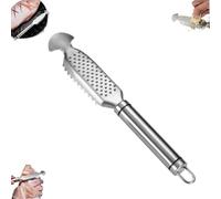 9 Inch Stainless Steel Fish Scaler with Ginger and Garlic Grating Plate, Gettoreach 2-In-1 Stainless Steel Fish Scaler Ginger Grater, for Descaling, Grating and Cleaning (1PCS)