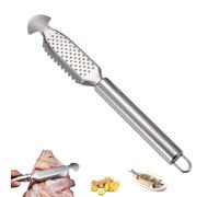 9-Inch Stainless Steel Multifunctional Fish Scaler with Ginger, 2-in-1 Stainless Steel Fish Scaler, For Easy Descaling, Grating & Cleaning, Kitchen Tool for Pro Scale Remover (1*B)