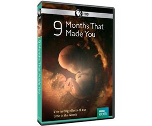 9 Months That Made You [USA] [DVD]