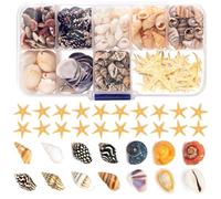 9 Tipos de Pequeñas Conchas y Estrellas de Mar - 300 Unidades para Decoración de Manualidades, Mosaicos y Decoración del Hogar
