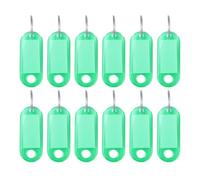 90pcs Plastic Keychain ID Tags Name Label Language Number Mark Classification Tag Para IdentificacióN(Green)