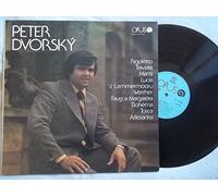 9112 0544 PETER DVORSKY Self Titled vinyl LP