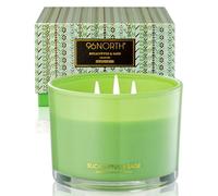 96NORTH - Vela de soja de lujo de eucalipto y salvia, vela grande de 3 mechas, hasta 50 horas de tiempo de combustión, cera de soja 100% natural, regalo de inauguración de la casa para hombres y