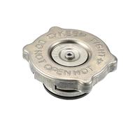 A ABSOPRO Motor Radiador Tapa para Chrysler 300 2008 No.55116901AA - 1 uds