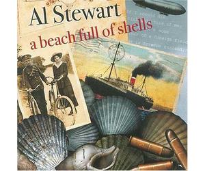 A Beach Full Of Shells