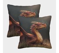 A Beautiful Dragón Lying on The Grass Funda De Almohada 40x40cm 2 Paquetes Sofá Cama Hogar Juego Al Aire Decorativo