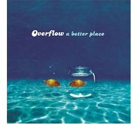A Better Place by Overflow