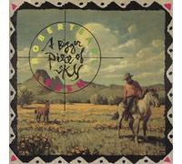 A Bigger Piece of Sky