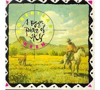 A Bigger Piece Of Sky by Robert Earl Keen