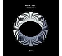 A Bridge Between Us [Vinilo]