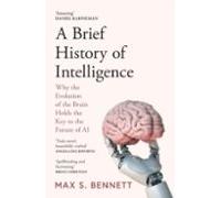 A Brief History Of Intelligence