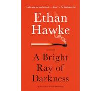 A Bright Ray of Darkness: A novel (Vintage Contemporaries)