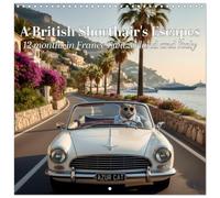 A British Shorthair's Escapes (Wall Calendar 2026 12" x 24" / 30 x 60 cm (open)) CALVENDO 12 Month Wall Calendar