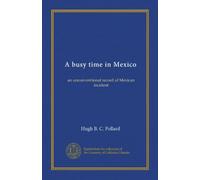 A busy time in Mexico: an unconventional record of Mexican incident