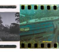 A Canadian Rainforest: Photographic Journey through Ucluelet and Tofino