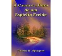 A Causa E A Cura De Um Espírito Ferido (ebook)