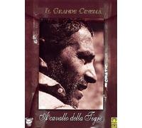 A cavallo della tigre [Italia] [DVD]