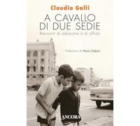 A cavallo di due sedie. Racconti di adozione e di affido (Percorsi familiari)