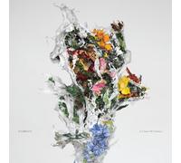 A Chaos of Flowers