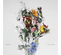A Chaos of Flowers/Limited [Vinilo]