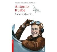 A cielo abierto (Novela)
