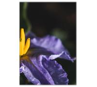 A CLOSER LOOK Minimalist Lined Notebook for Journaling, Planning, Mental Health, Organization: Nature Photography, Flowers, Floral, Purple, Wildflower, Colorful