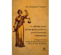 A Colisão Entre Princípios Jurídicos Paritariamente Relevantes (ebook)