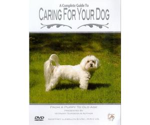 A Complete Guide To Caring For Your Dog - From A Puppy To Old Age [Reino Unido] [DVD]