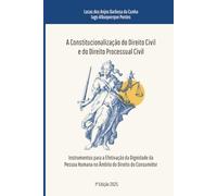 A CONSTITUCIONALIZAÇÃO DO DIREITO CIVIL E DO DIREITO PROCESSUAL CIVIL: Instrumentos para a Efetivação da Dignidade da Pessoa Humana no Âmbito do Direito do Consumidor