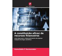 A constituição eficaz de recursos financeiros: como base para o desenvolvimento da empresaColeção de artigos científicos