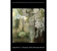 A Consulta Aos Órgãos De Proteção Ao Crédito E O Processo Seletivo Fre