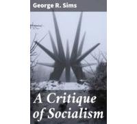 A Critique Of Socialism (ebook)