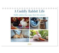 A Cuddly Rabbit Life (Desk Calendar 2026 DIN A5 landscape), CALVENDO 12 Month DeskCalendar: Fluffy rabbits enjoy their life between sofa, carpet and pillows