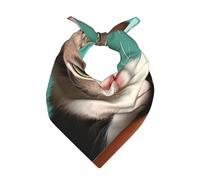 A Curious Cat - Bufanda cuadrada de satén multiusos de 55 x 55 cm, bandana de tacto de seda para mujeres y hombres, bufanda suave para el cabello, bufanda para el cuello, diadema