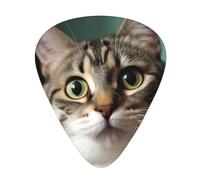 A Curious Cat - Púas de guitarra estampadas con 12 piezas con caja de almacenamiento organizadora, púas de guitarra finas, medianas y pesadas, para guitarra acústica y bajo