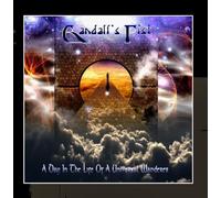 A Day in the Life of a Universal Wanderer