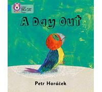 A Day Out: Band 04/Blue (Collins Big Cat Phonics)