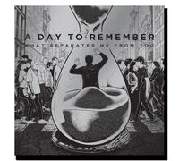 A Day To Remember - What Separates Me From You [Vinilo]