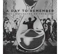 A Day To Remember - What Separates Me From You [Vinilo]