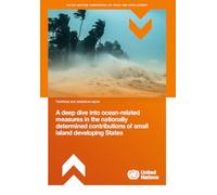 A Deep Dive Into Ocean-related Measures in the Nationally Determined Contributions of Small Island Developing States