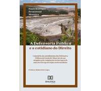 A Defensoria Pública E O Cotidiano Do Direito (ebook)