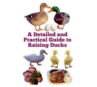 A Detailed and Practical Guide to Raising Ducks (The Detailed Homestead Flock Series)