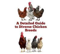 A Detailed Guide to Diverse Chicken Breeds