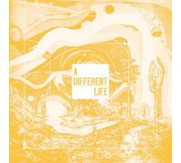 A Different Life [Vinilo]