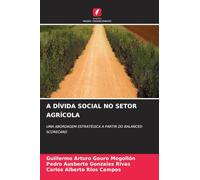 A DÍVIDA SOCIAL NO SETOR AGRÍCOLA: UMA ABORDAGEM ESTRATÉGICA A PARTIR DO BALANCED SCORECARD